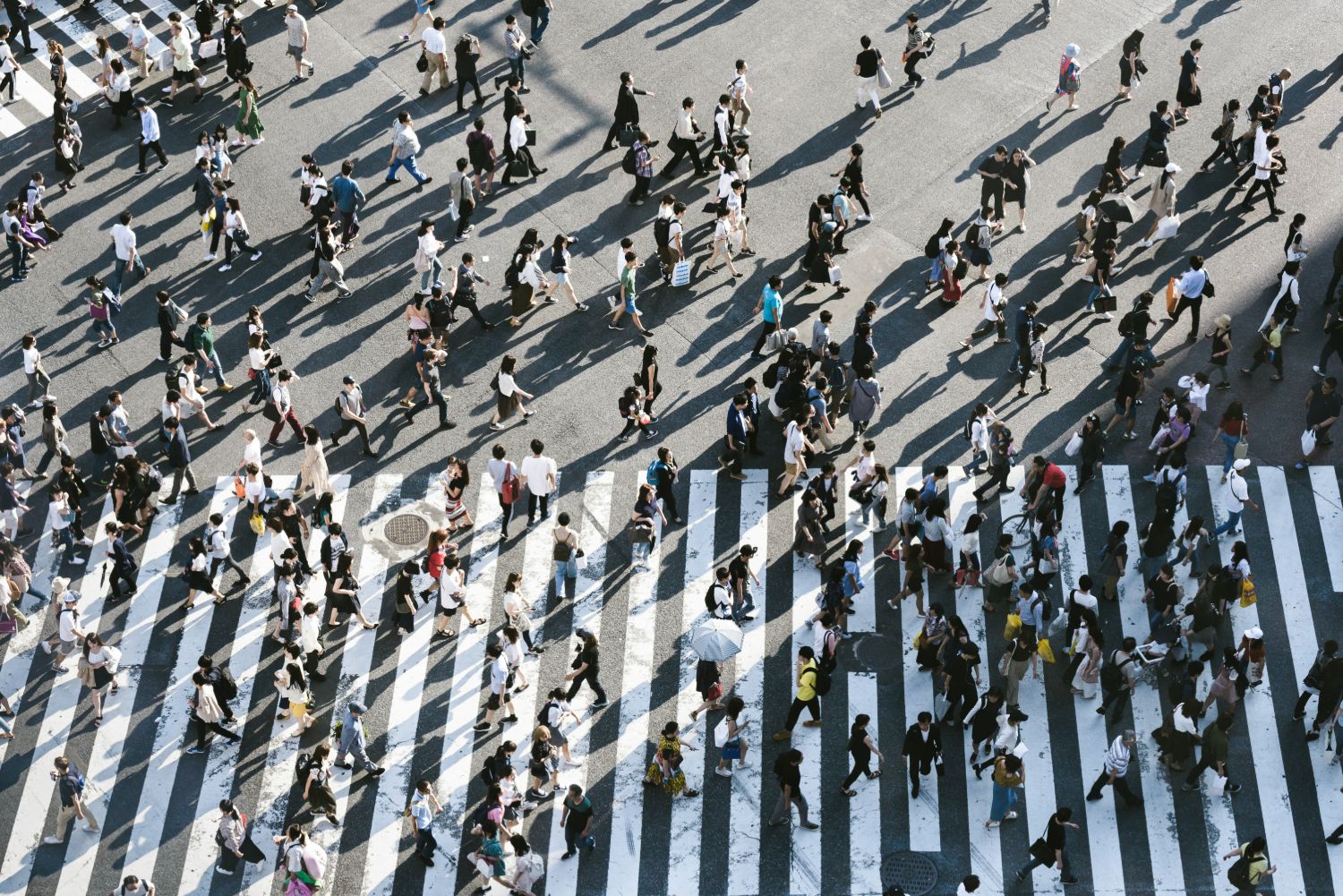Pedestrians crossing a busy intersection